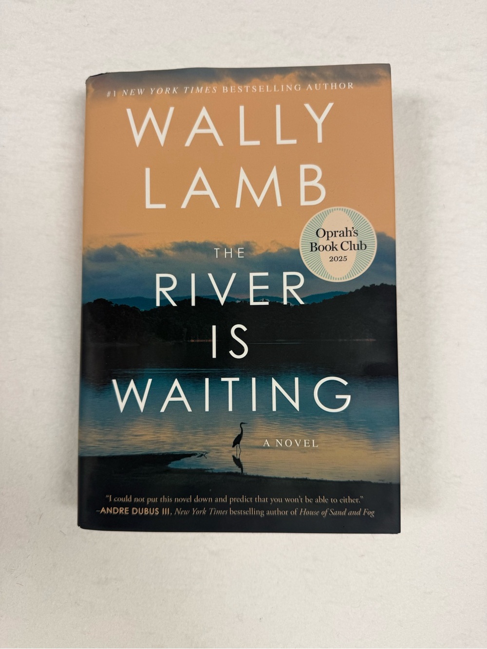 The River Is Waiting by Wally Lamb